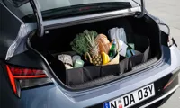 Cargo Organiser