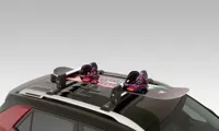 Ski & Snowboard Carrier